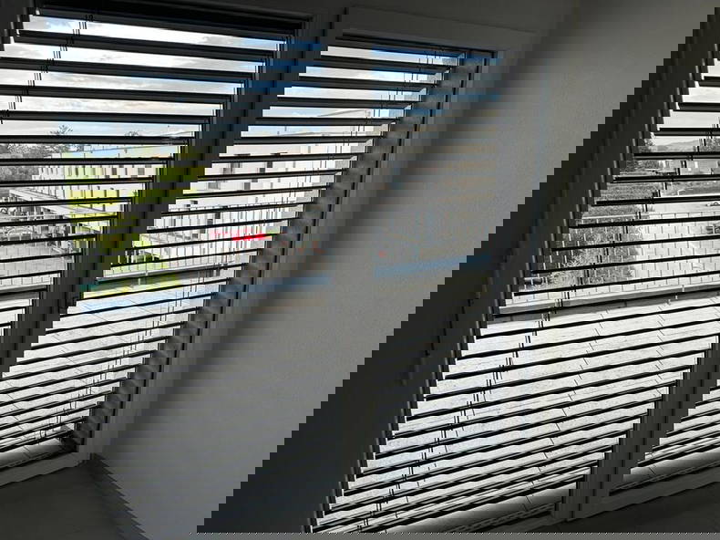 Colocation Mont-Vully 319678-5