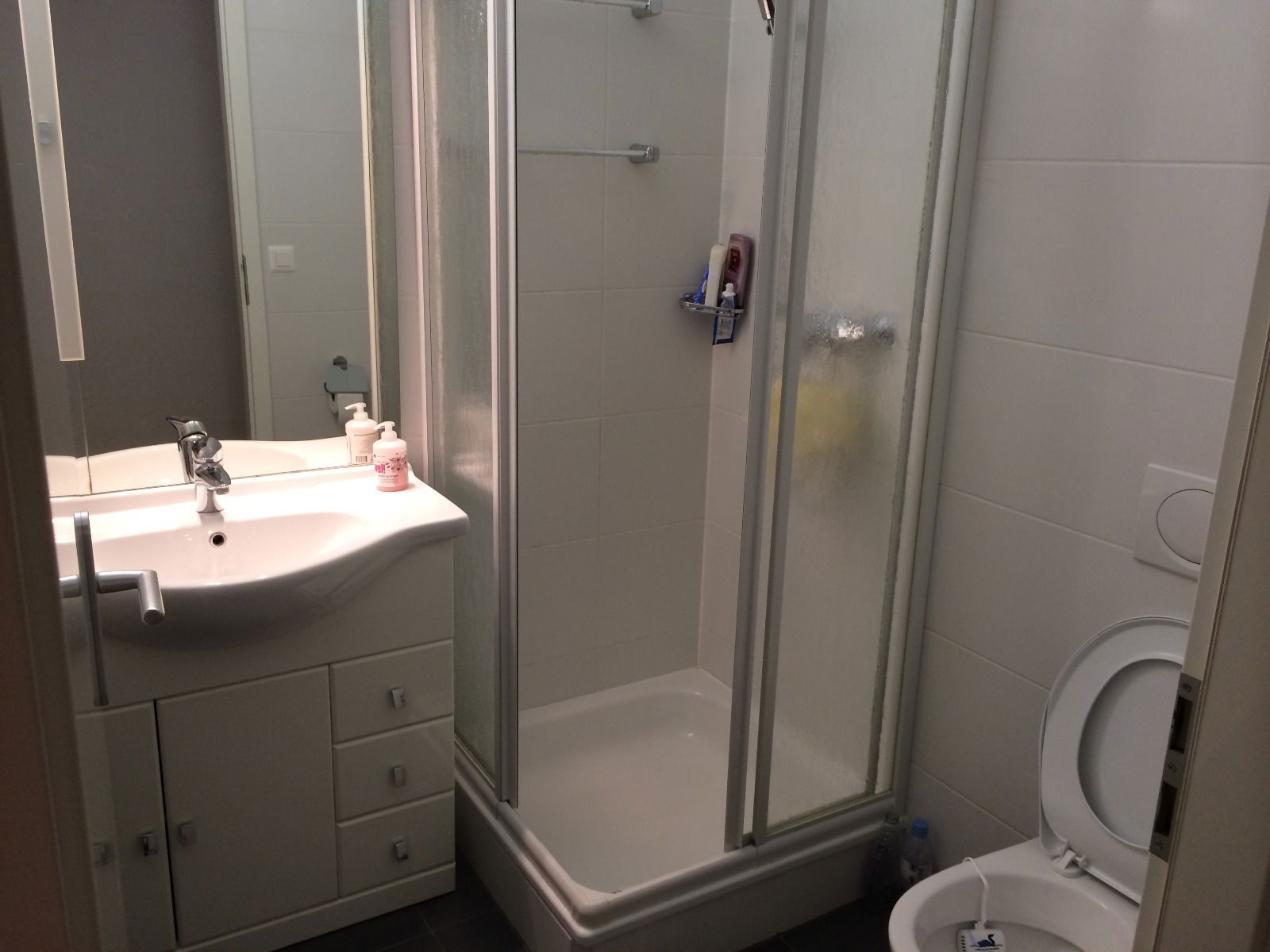 Homestay Chavannes-près-Renens 194434