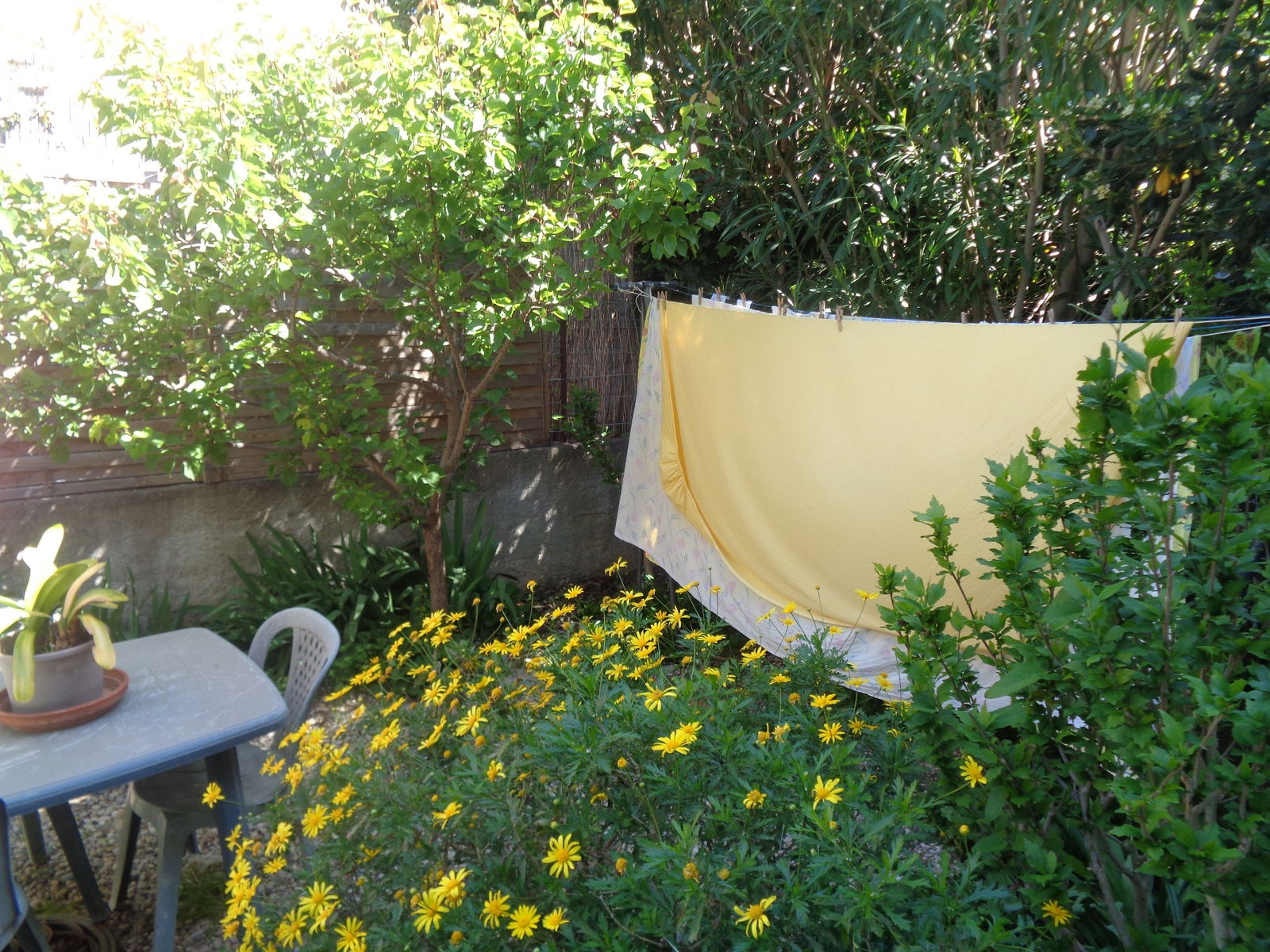 Colocation Perpignan 251264