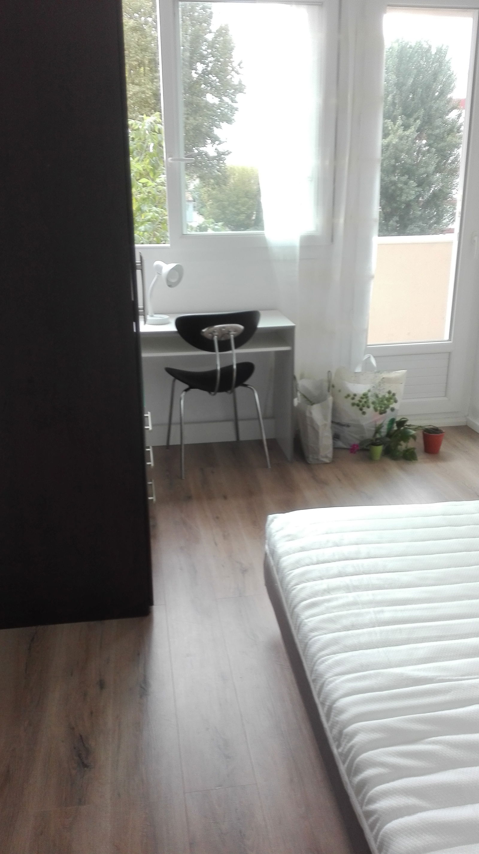 Colocation Toulouse 258881
