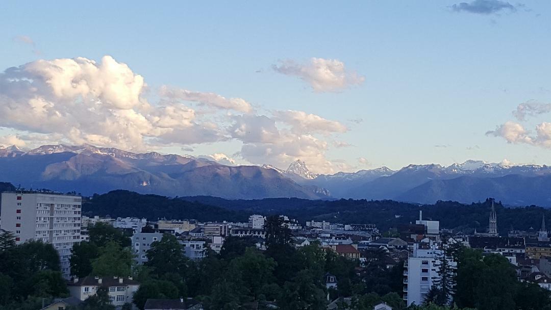 Colocation Pau 229041