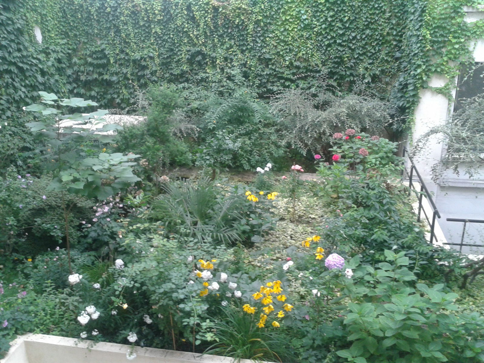 Colocation Paris 141054