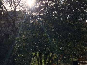 Colocation Nanterre 254291-8