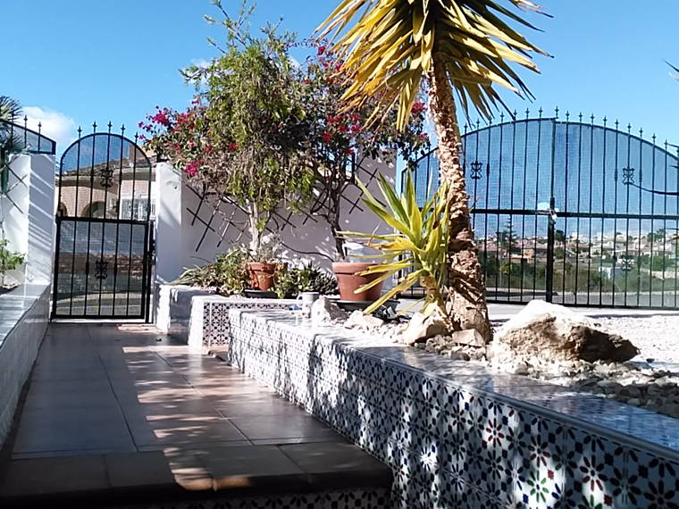 Homestay Alicante 265063