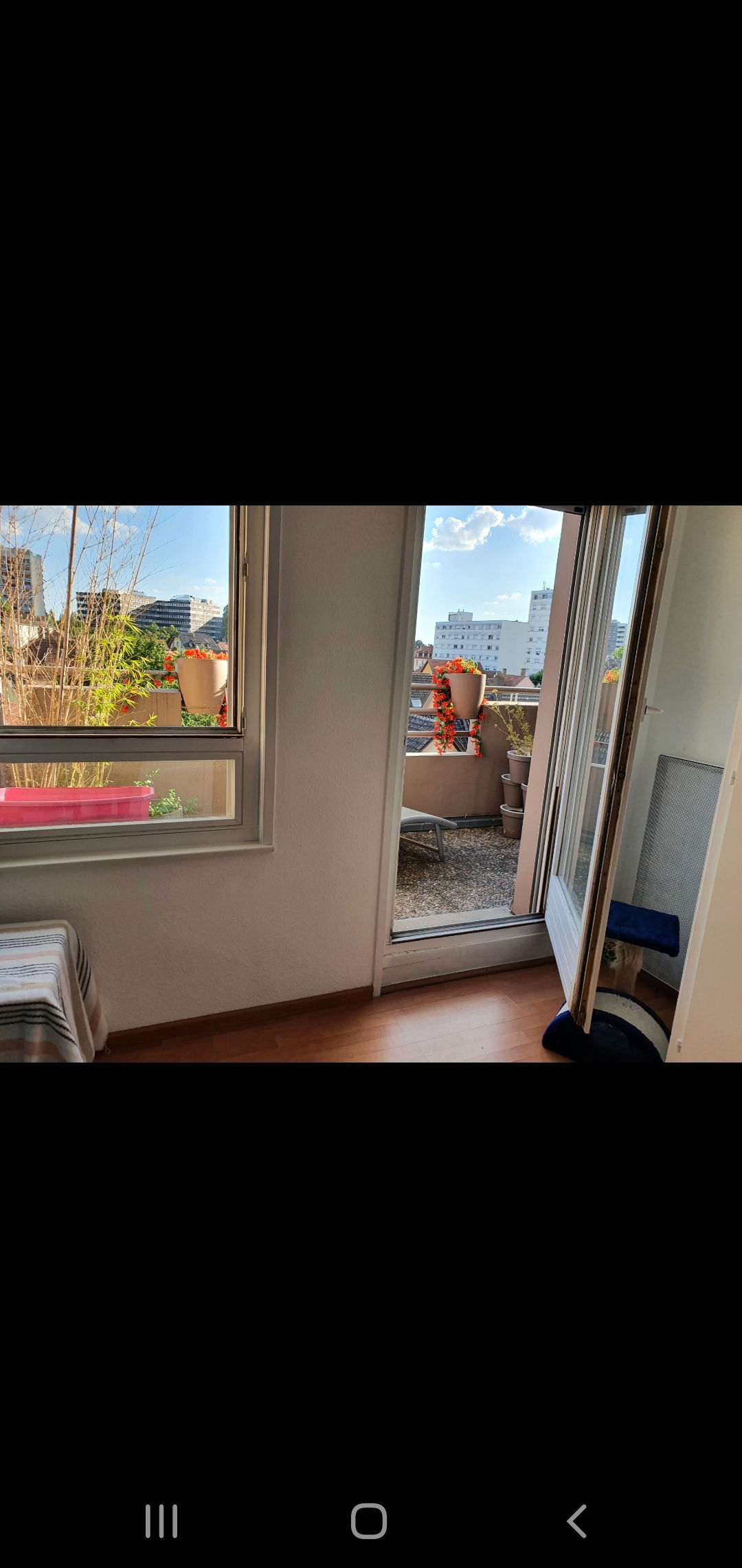 Homestay Schiltigheim 247443
