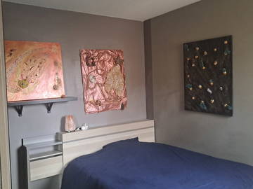 Chambre À Louer Blagnac 333783