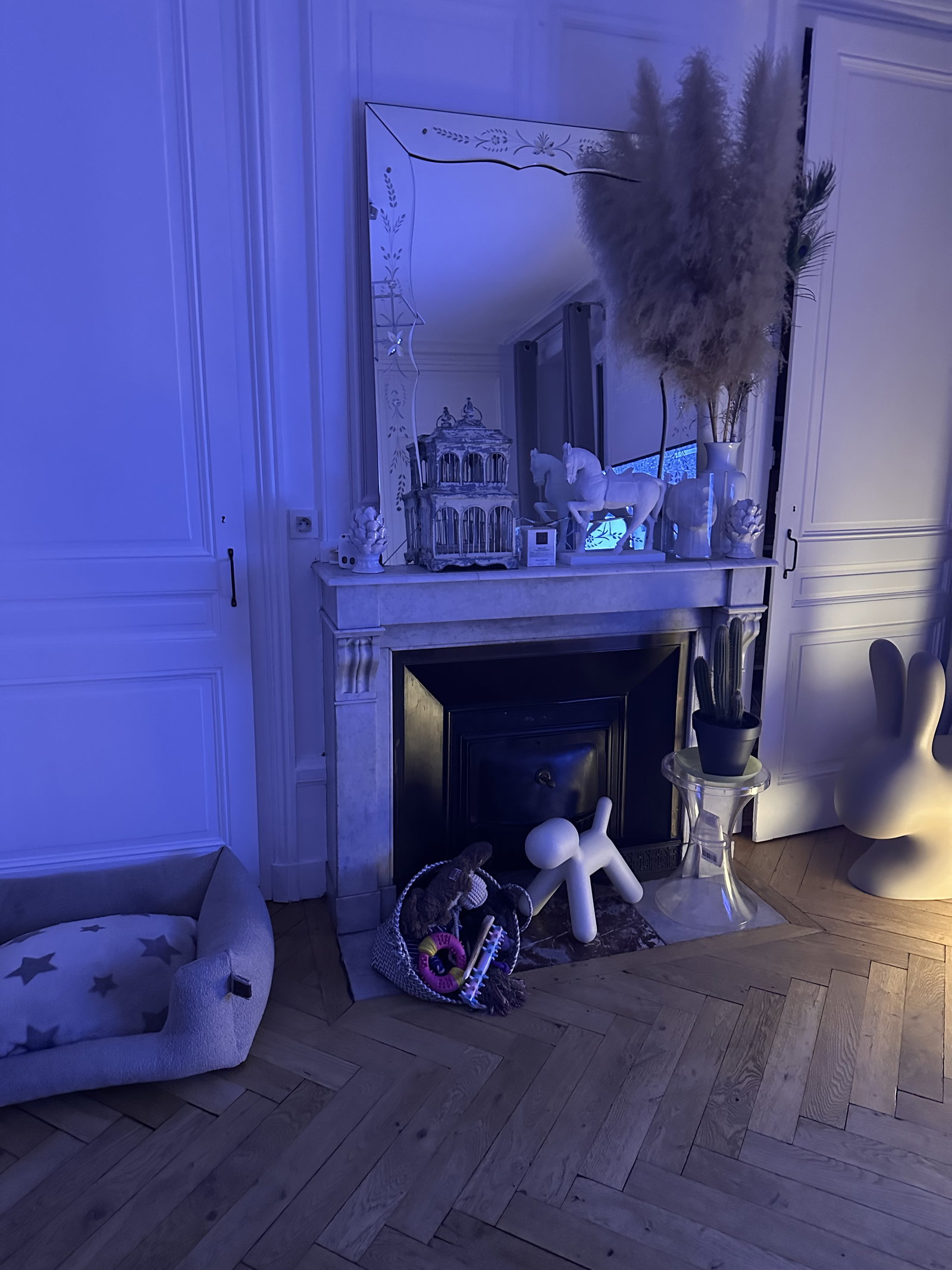 Homestay Lyon 667139