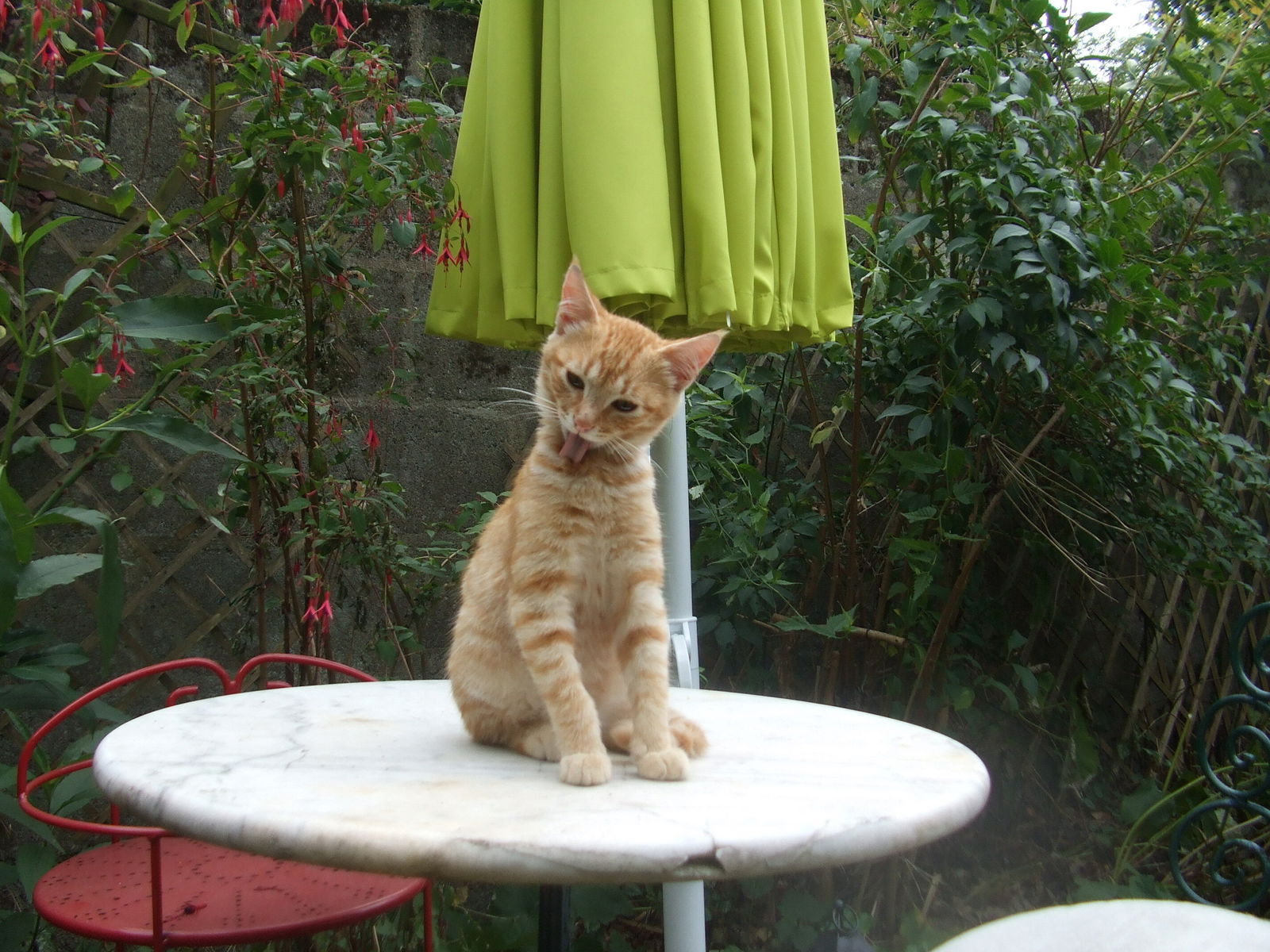 Homestay Nantes 128749