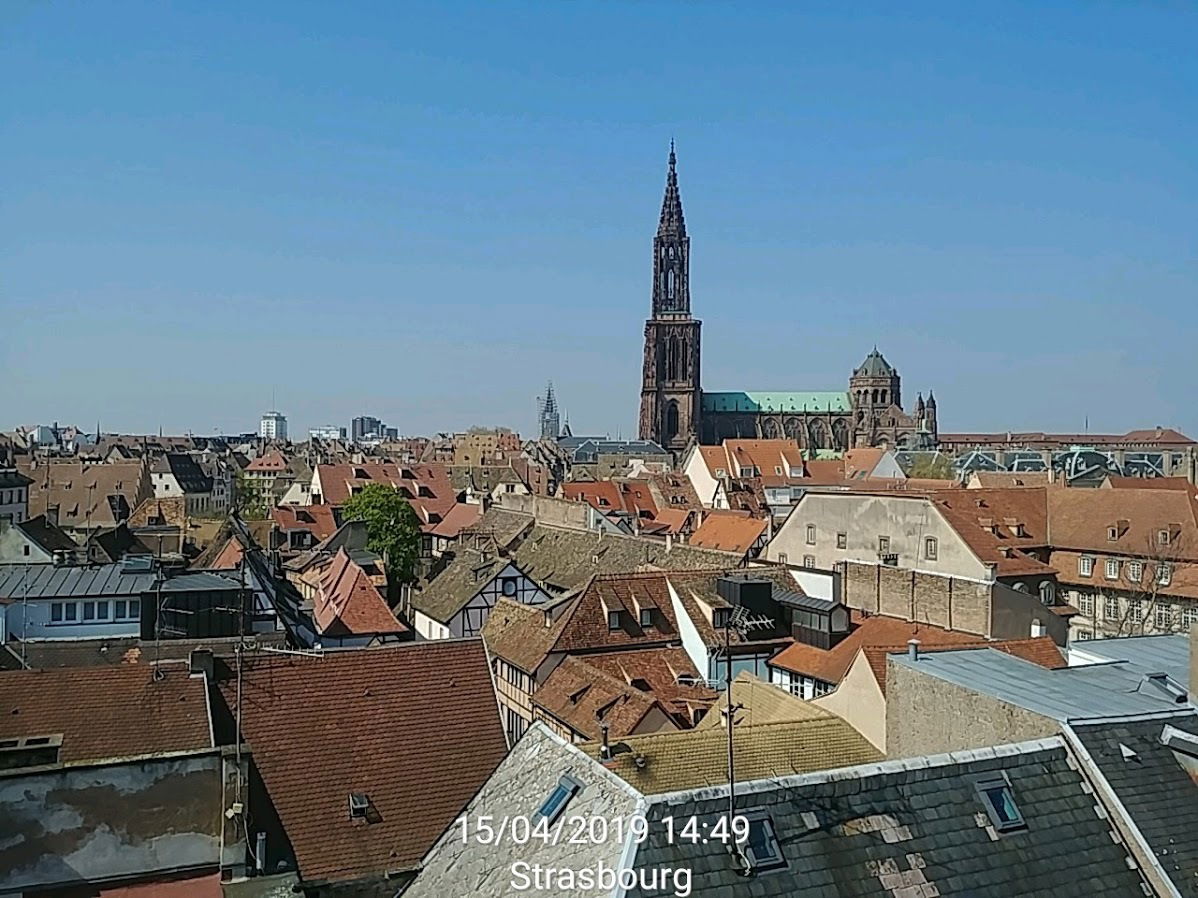 Homestay Strasbourg 249955
