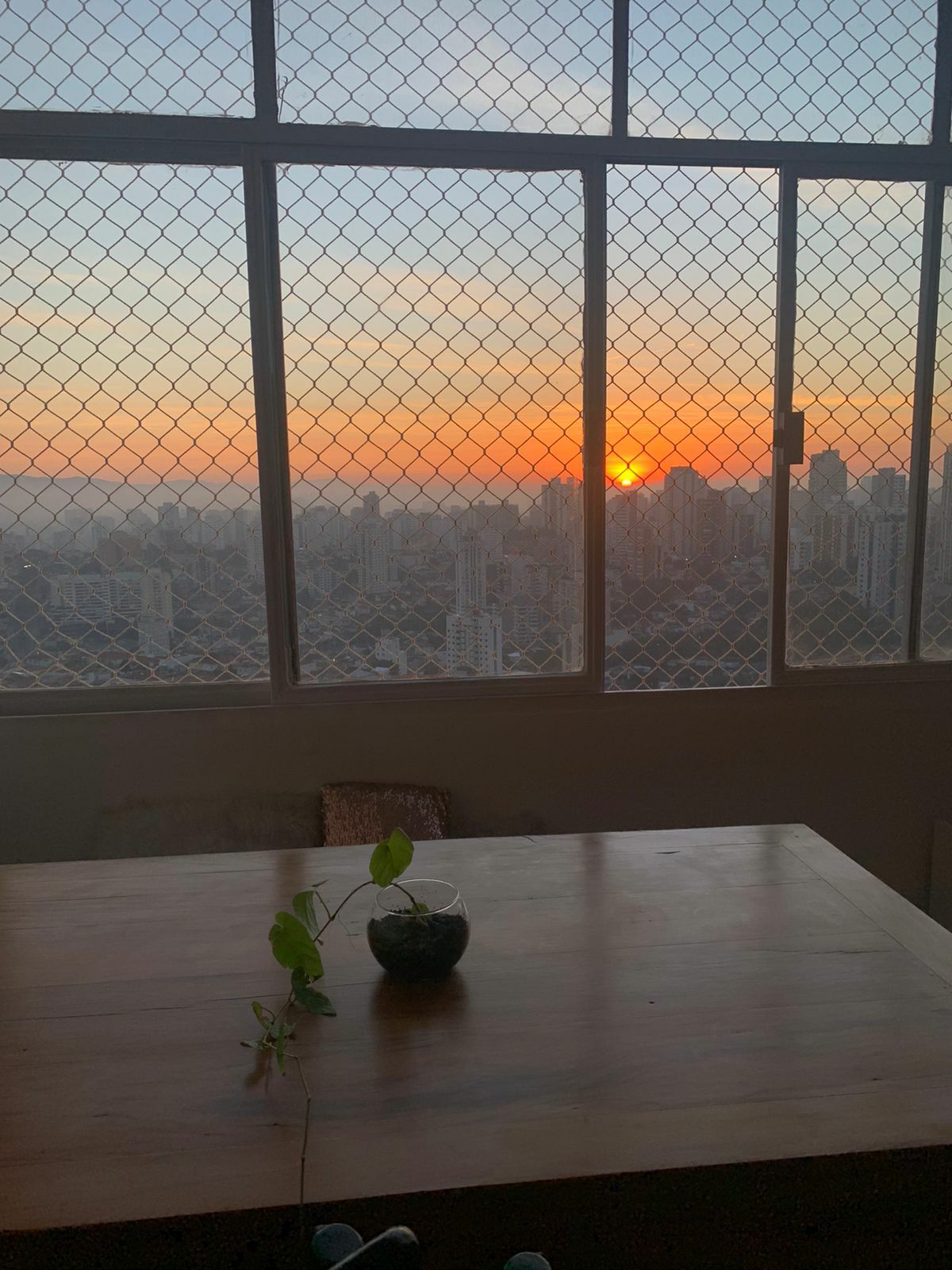 Homestay São Paulo 254951