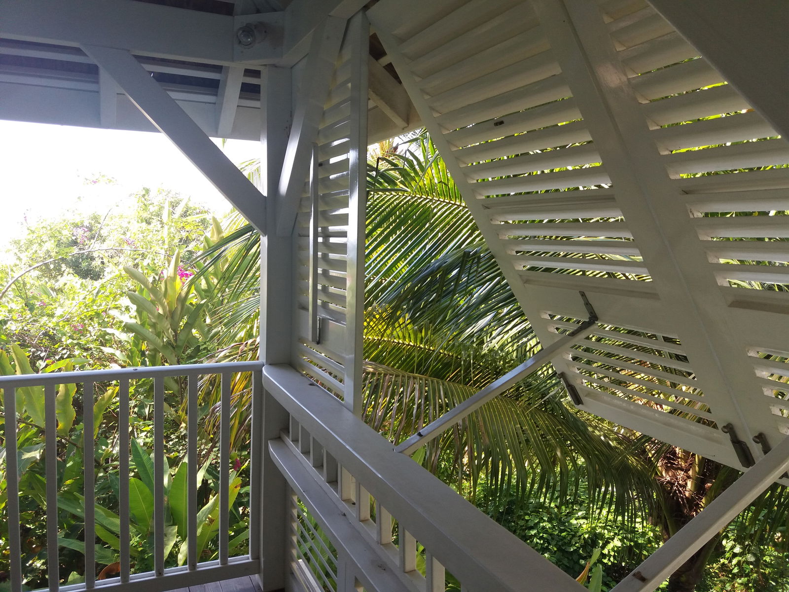 Homestay Schoelcher 238077