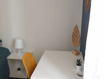 Colocation Annemasse 259567-4