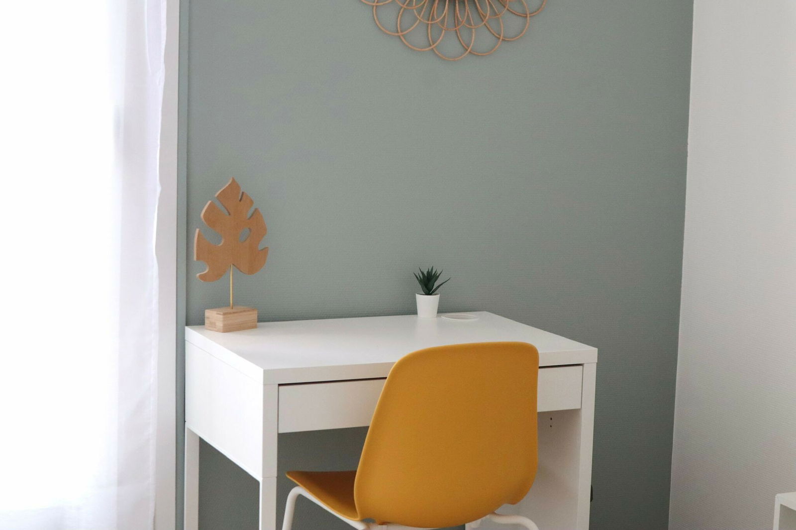 Colocation Annemasse 259565