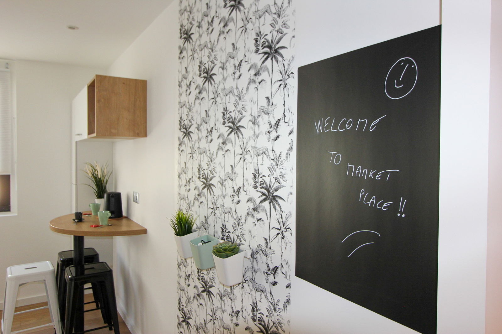 Colocation Annemasse 251496