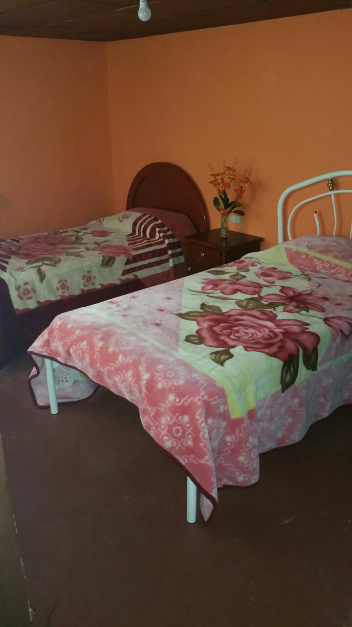 Homestay Quito 195827