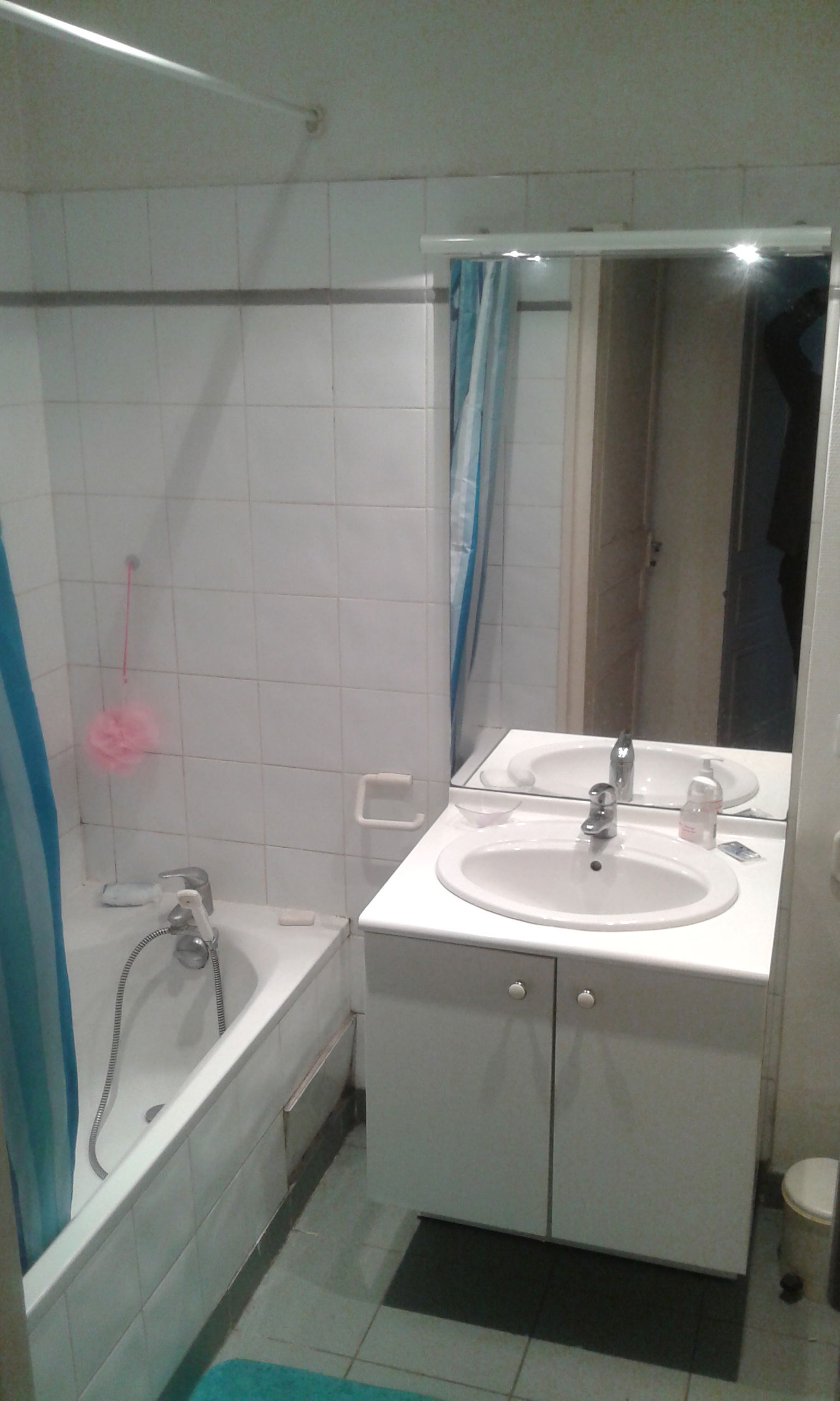 Homestay Lyon 334012