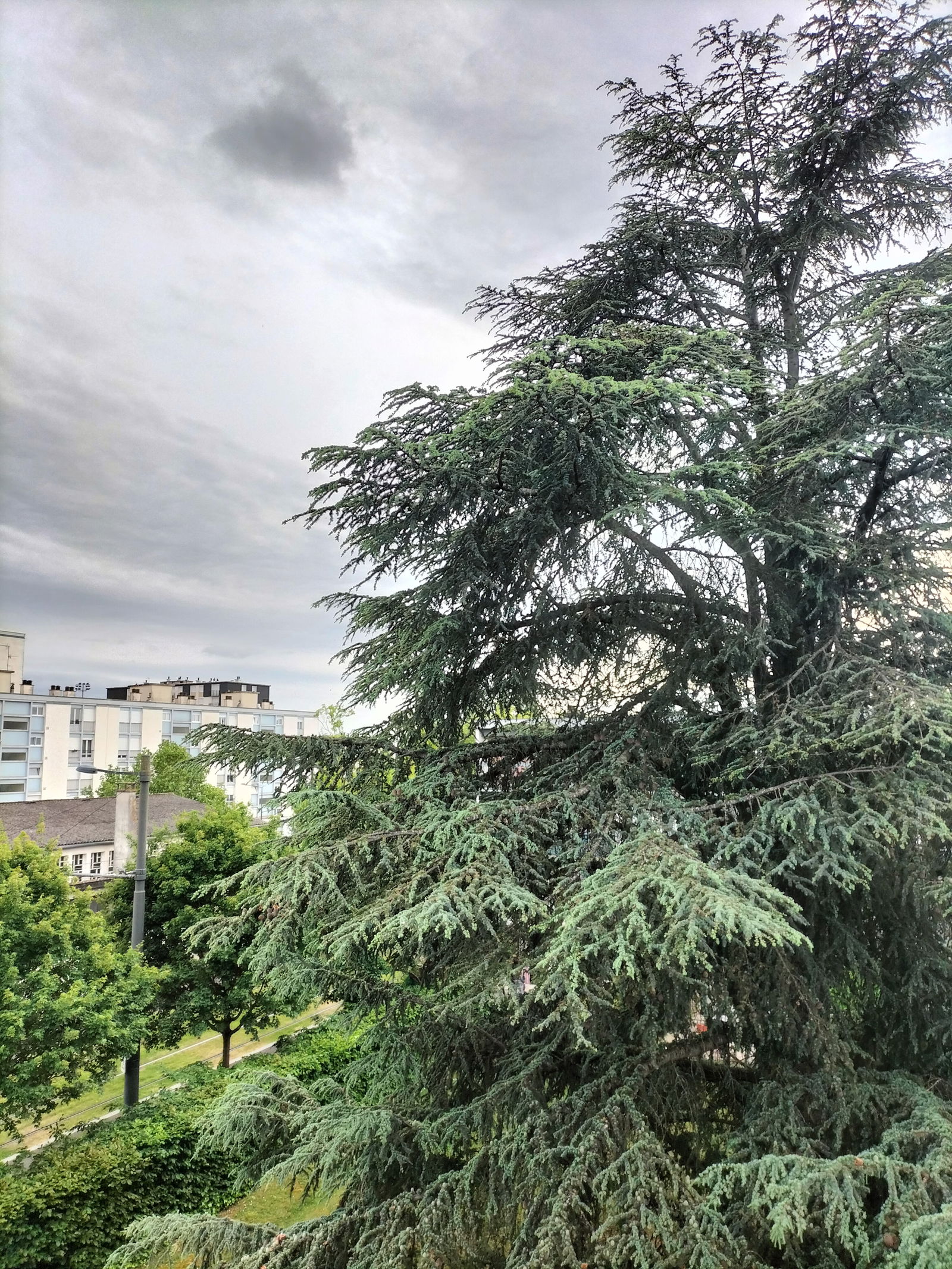 Homestay Joué-lès-Tours 260127