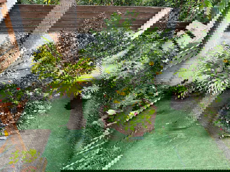 Famiglia Saint-Leu 267598-2