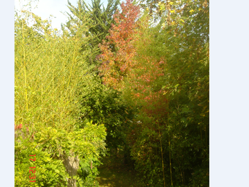 Chambre Chez L'habitant Vertou 237634-7