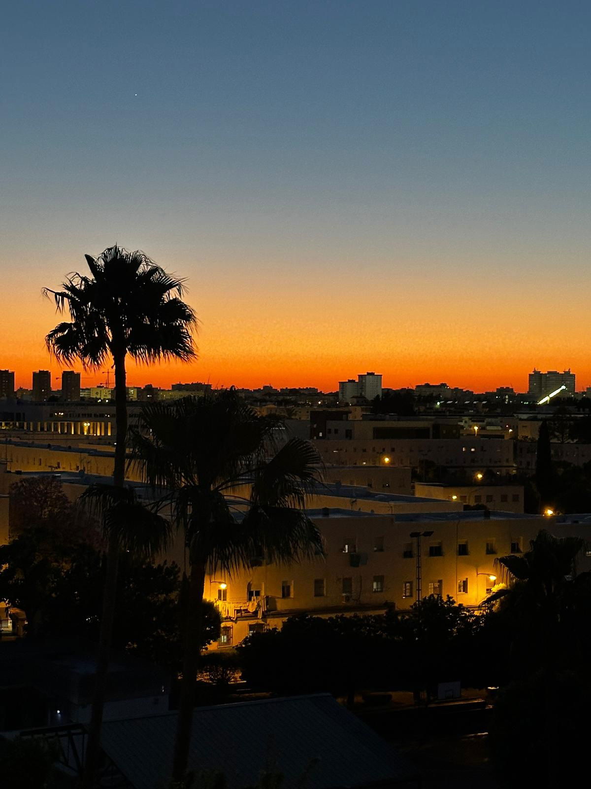 Homestay Jerez de la Frontera 550708