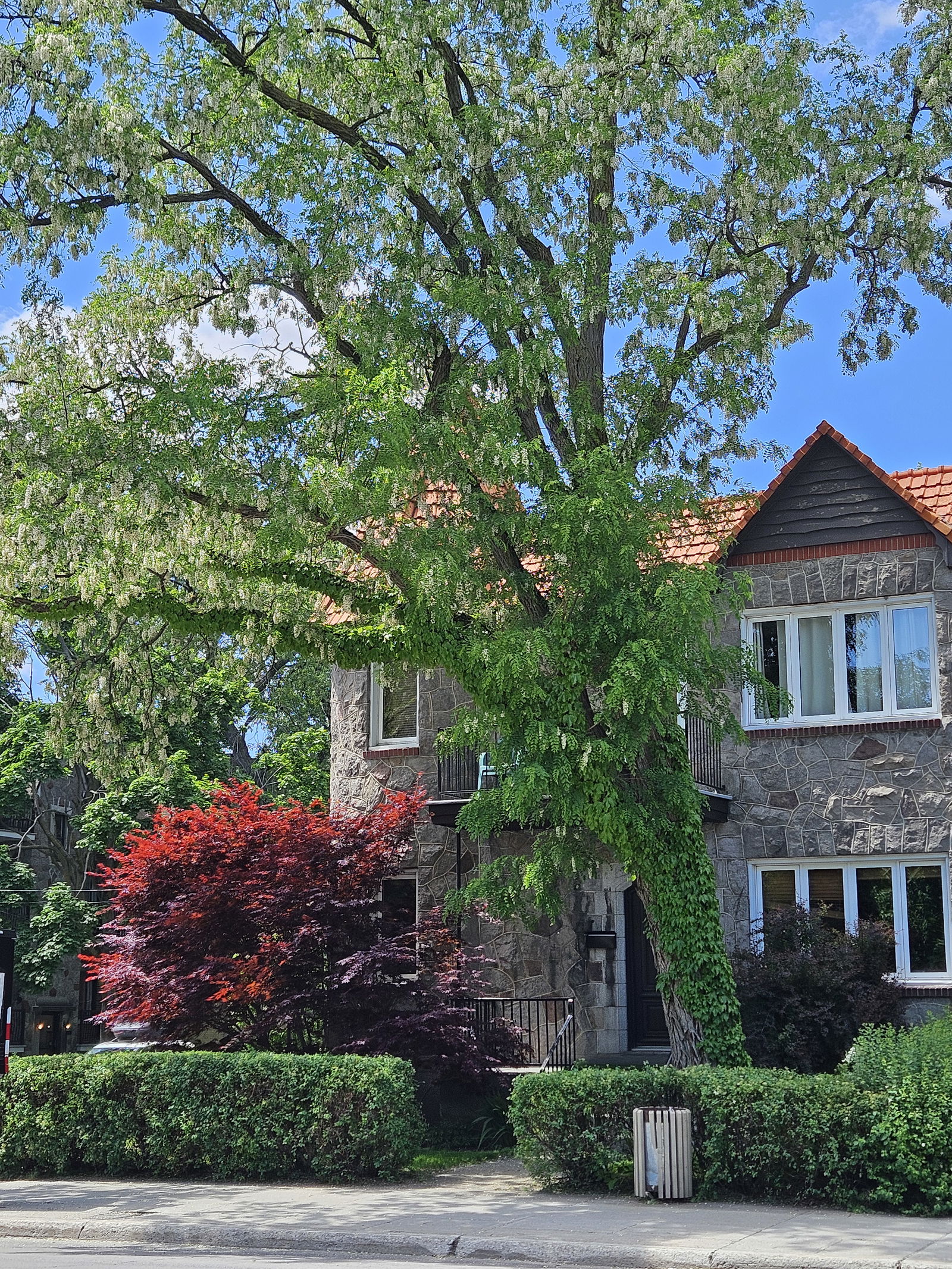 Homestay Montréal 75353