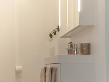 Coliving à louer à Luxembourg - photo 3 : salle de bain-3