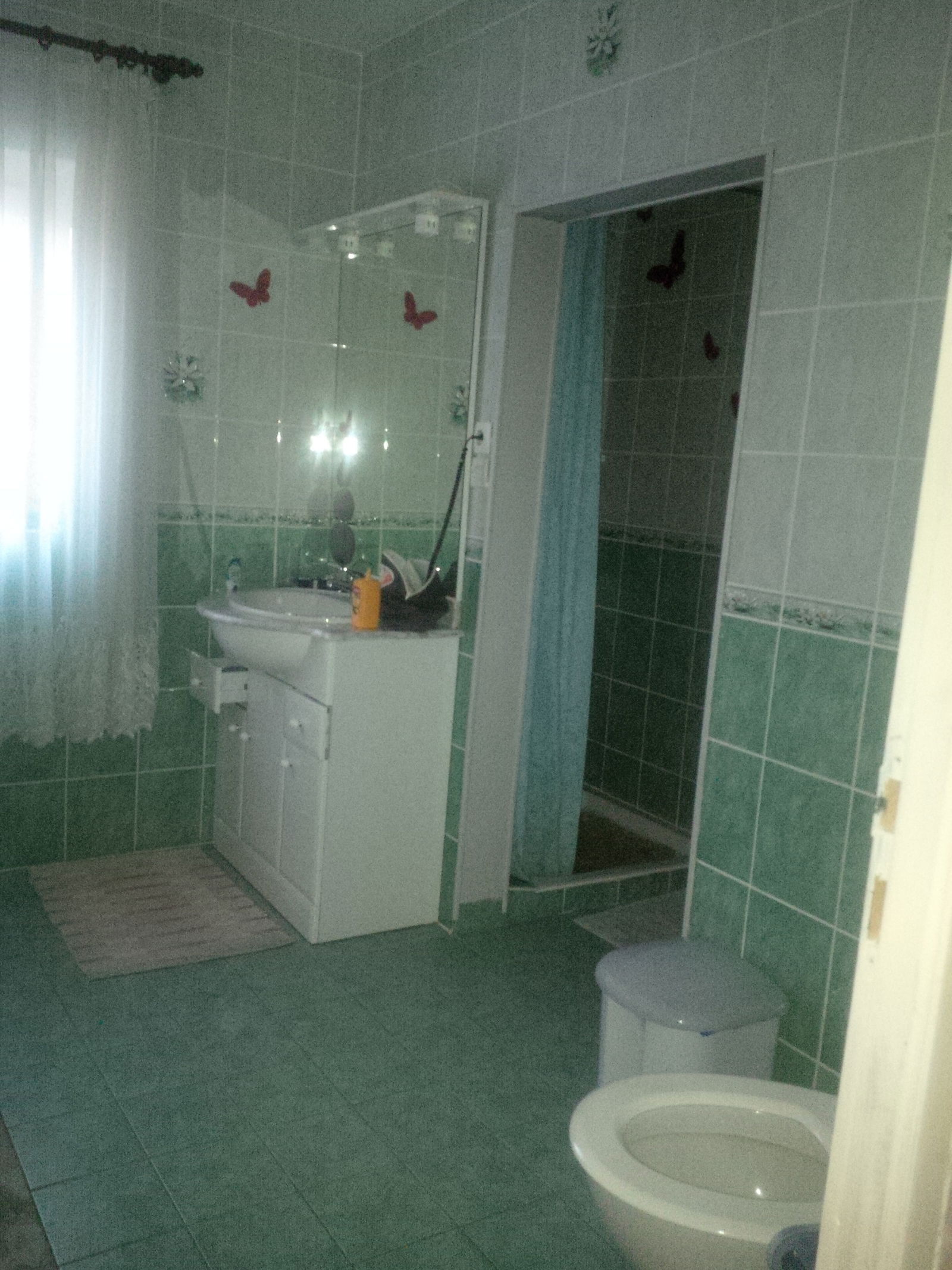 Homestay Bust 114985