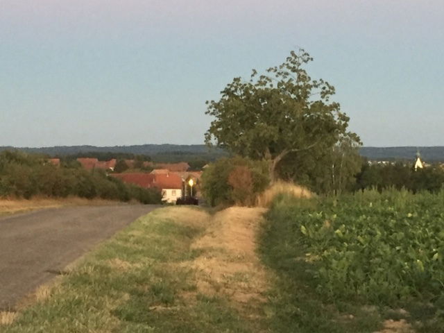 Homestay Bust 114985