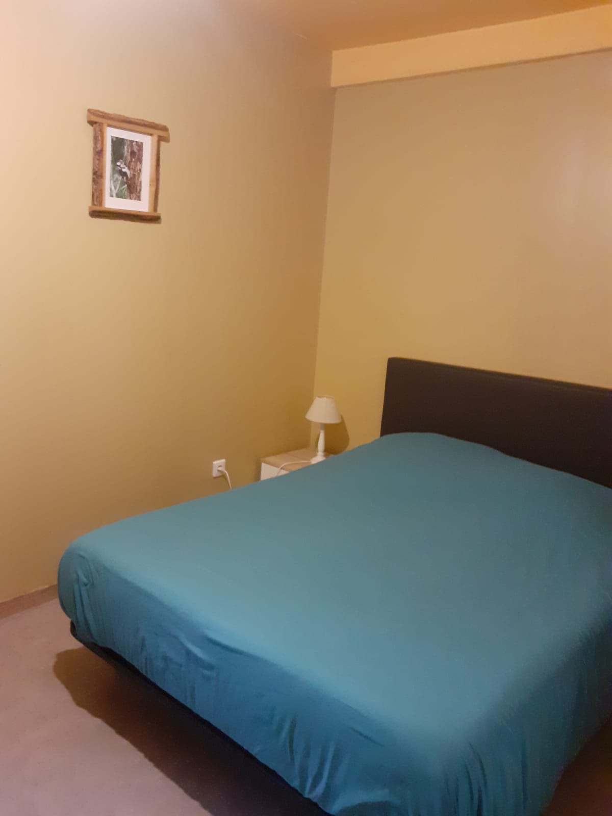 Homestay Bust 114985