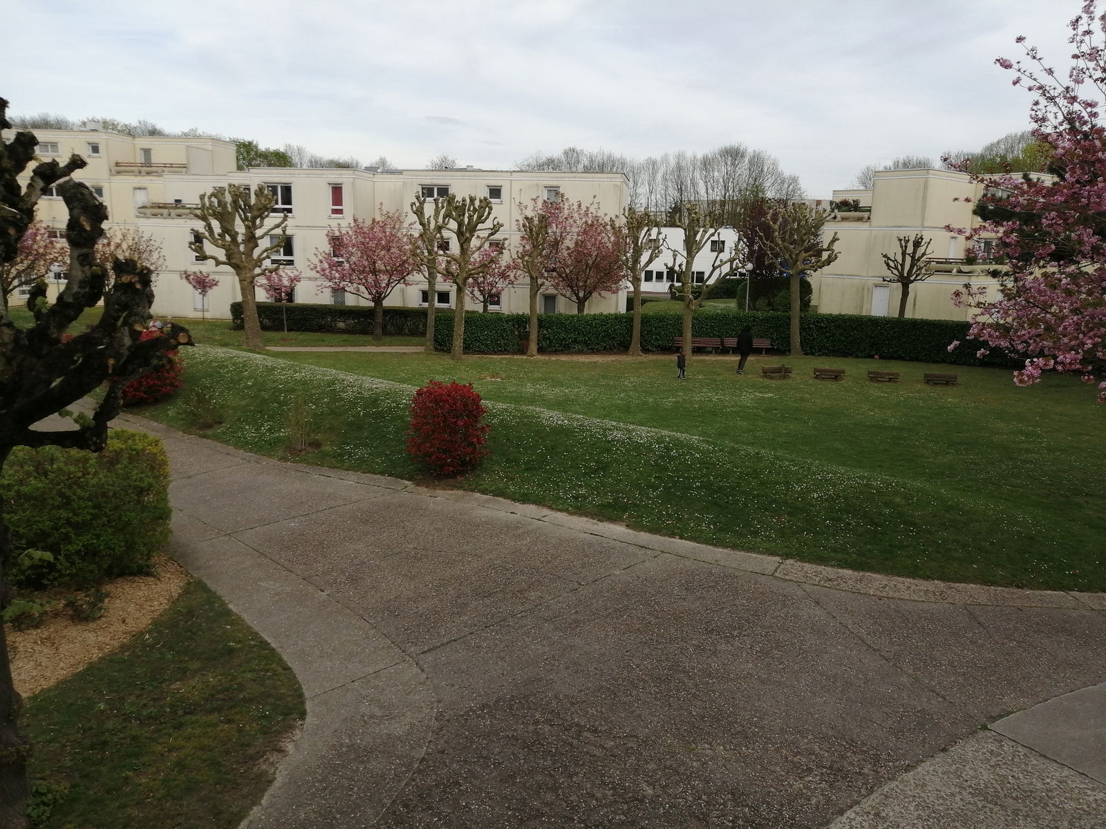 Homestay Montigny-le-Bretonneux 257613