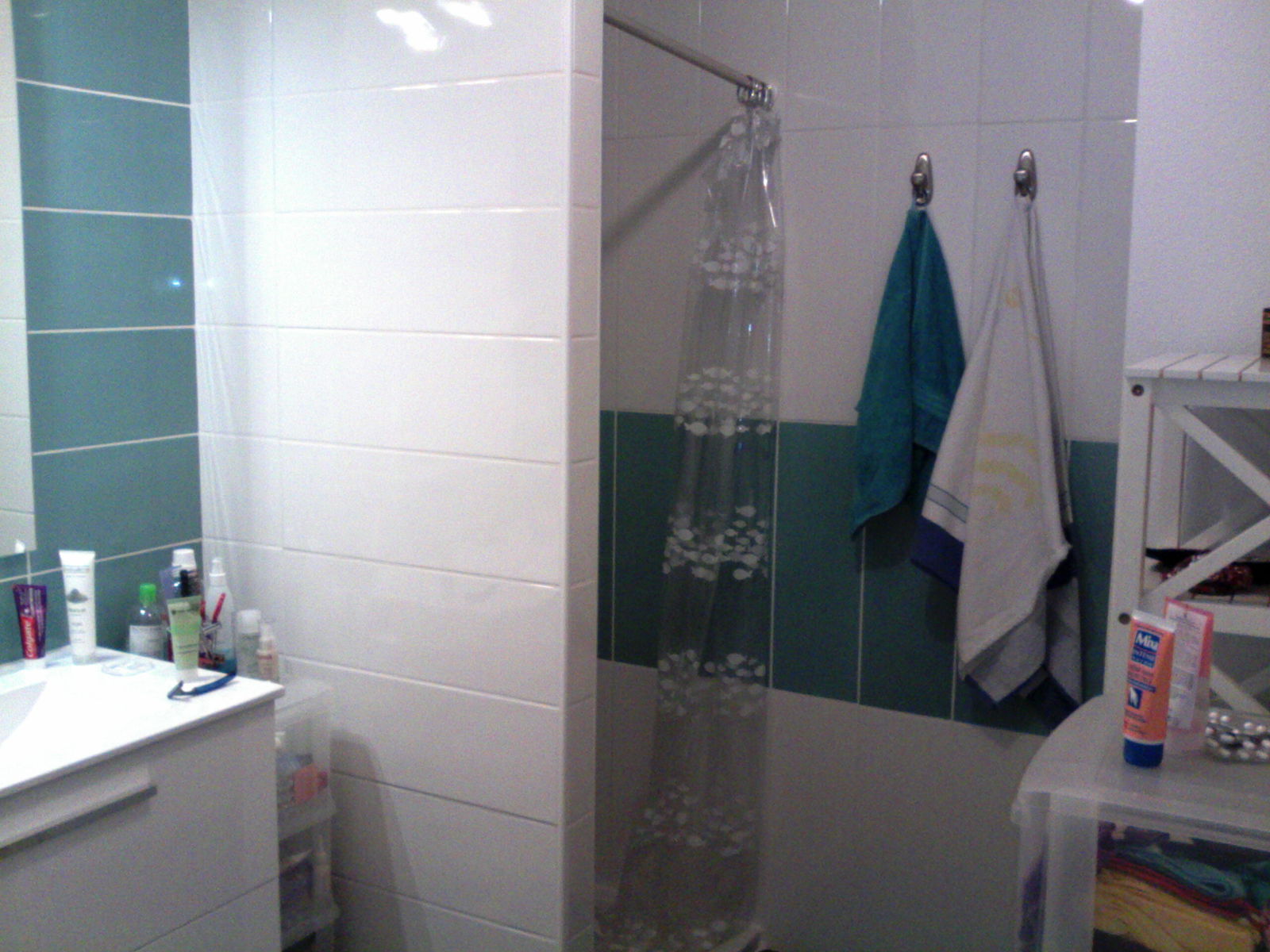 Homestay Basse-Goulaine 157096