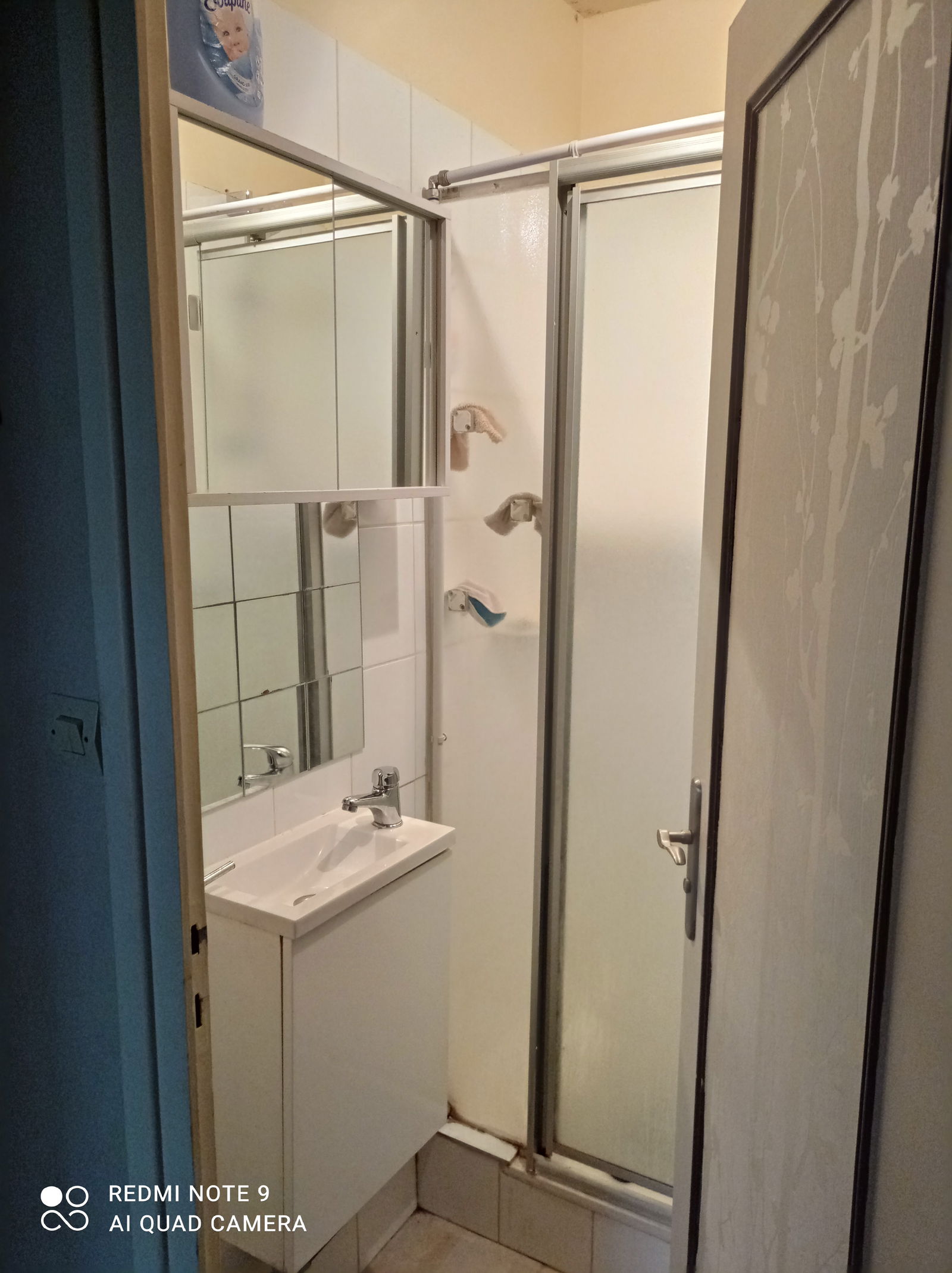 Homestay Villeurbanne 234300