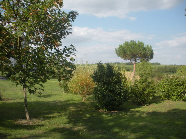 Homestay Julienne 33832