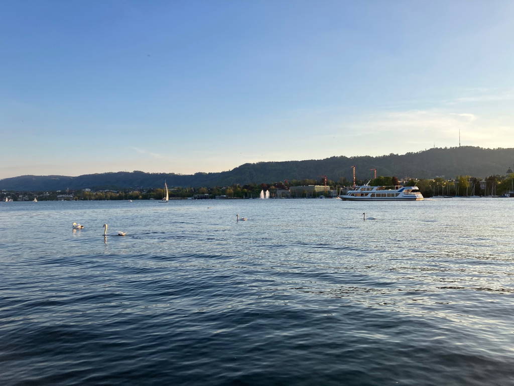 Gastfamilie Thalwil 662841-1