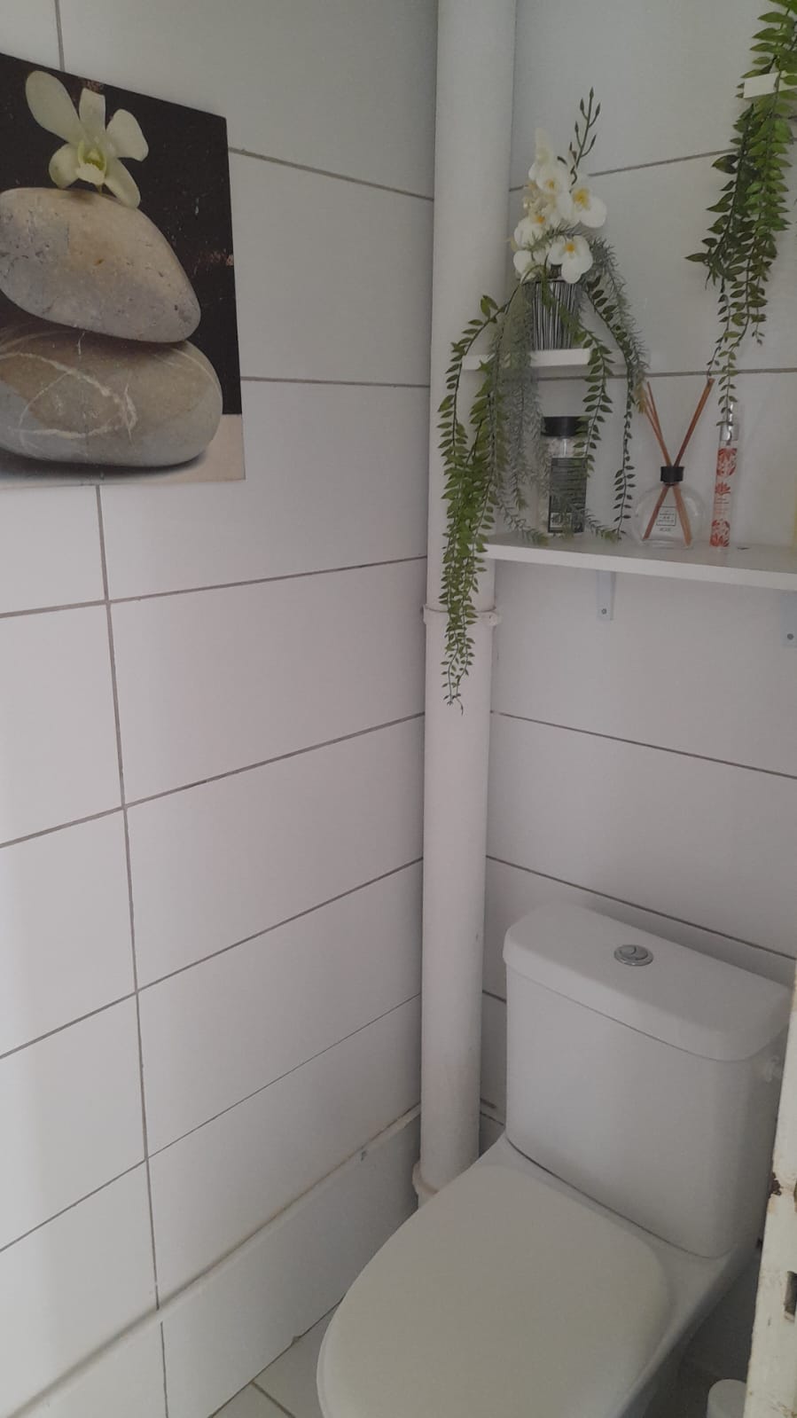Colocation Les Abymes 514255