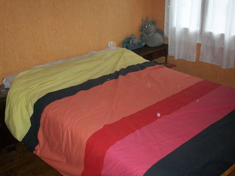 Chambre Chez L'habitant Arnage 94142-2