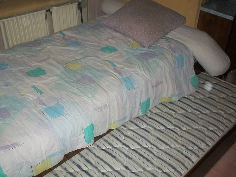 Chambre Chez L'habitant Arnage 94142-4