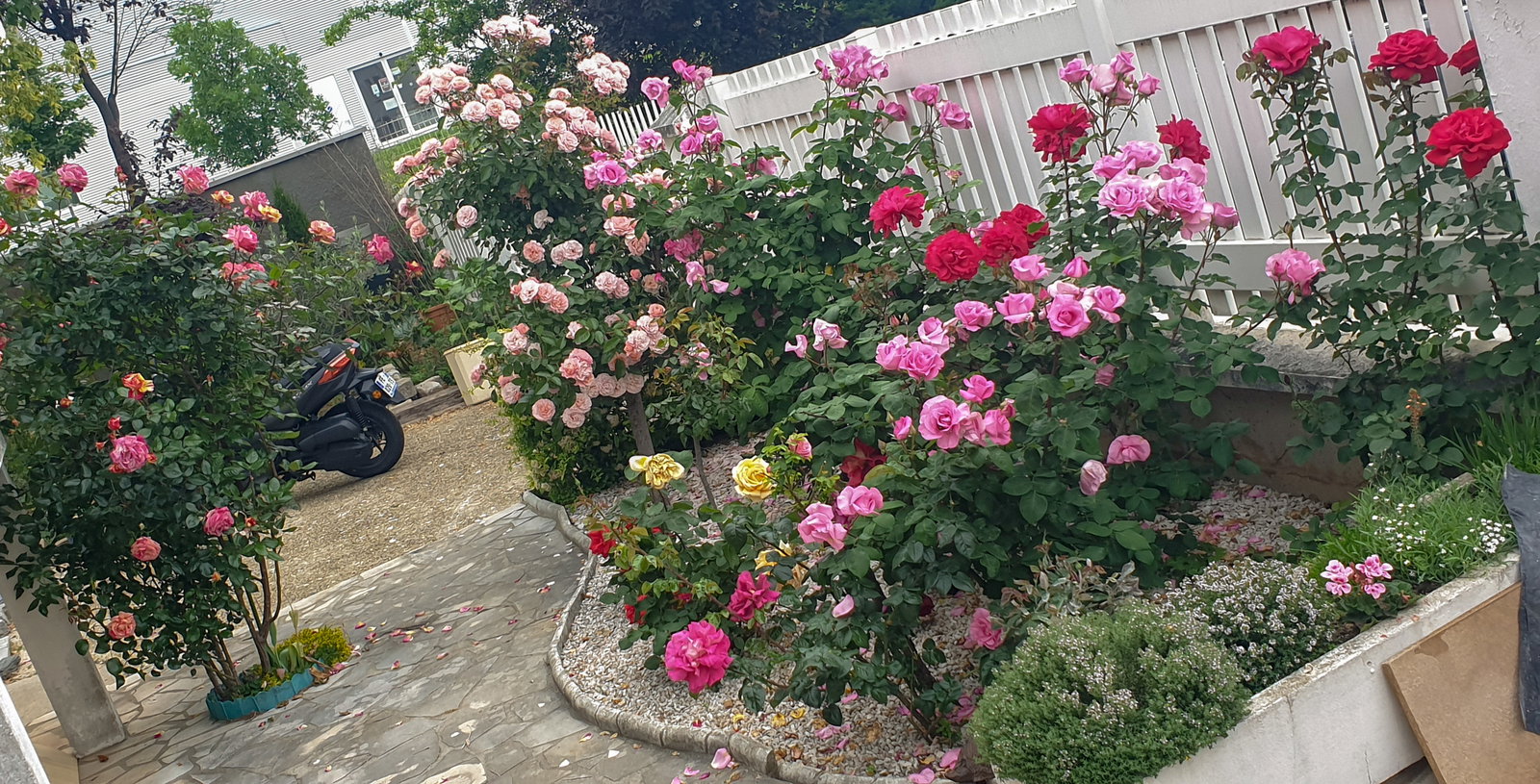 Homestay Champigny-sur-Marne 662800