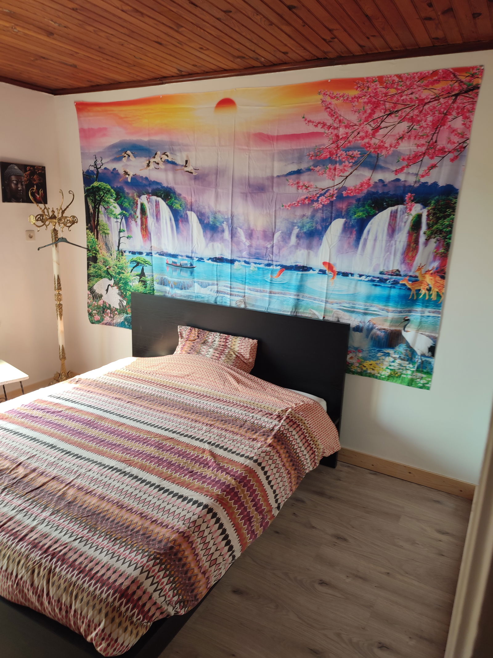 Homestay Ohey 259628