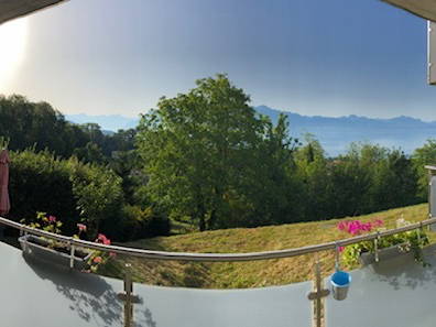 Homestay Belmont-sur-Lausanne 231261