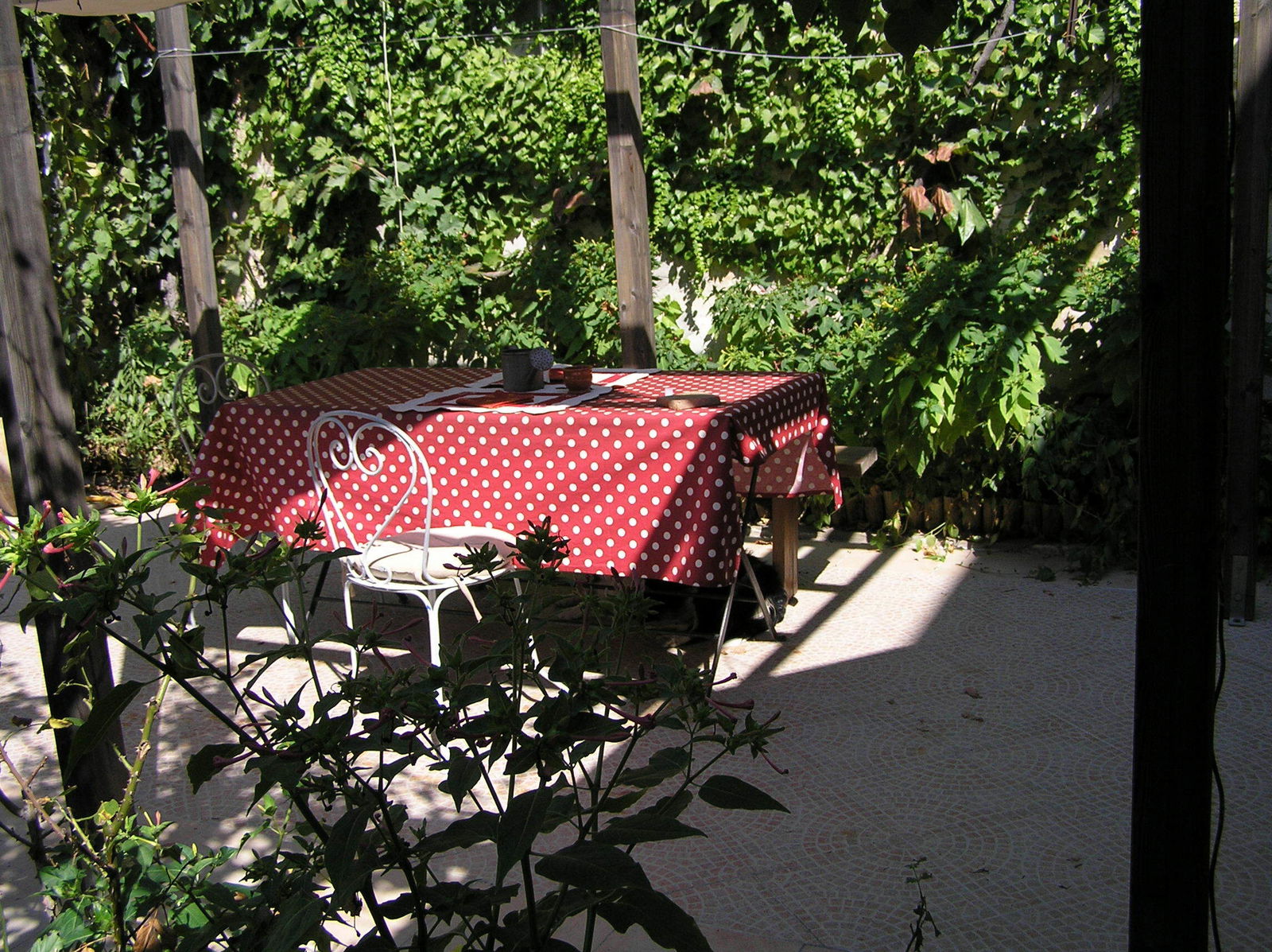 Homestay Jonquières-Saint-Vincent 257353