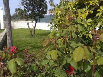 Chambre Chez L'habitant Carrozziere 200631-5