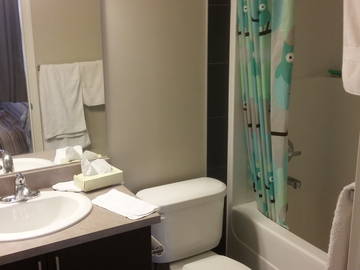 Chambre Chez L'habitant Edmonton 169094-10