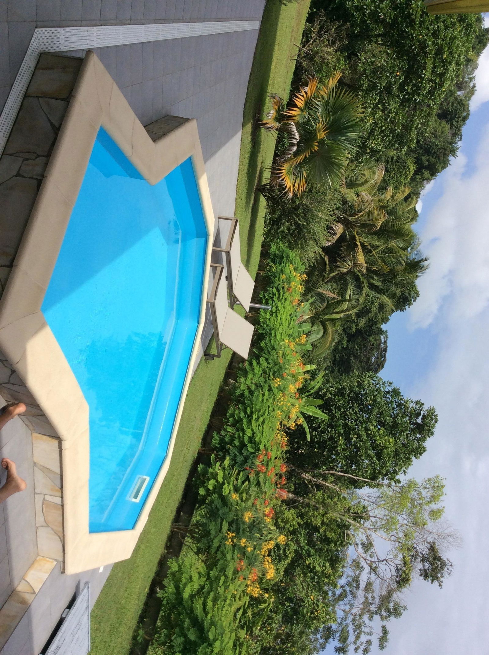 Bed And Breakfast Baie Mahault 127042