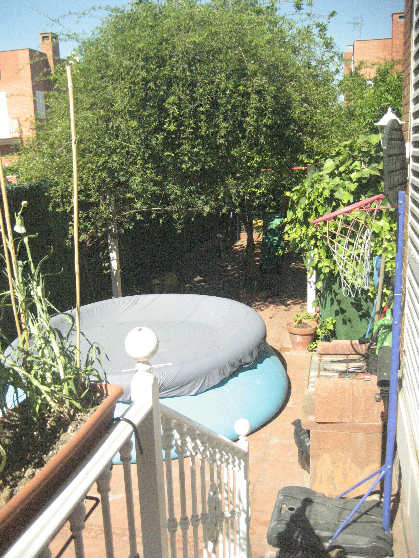 Homestay Sevilla 102659