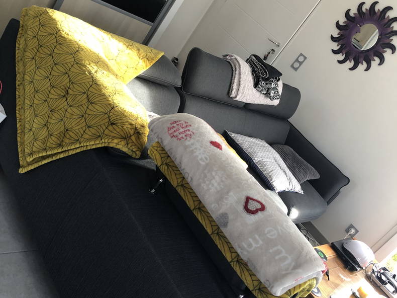 Chambre Chez L'habitant Aureilhan 304505-3