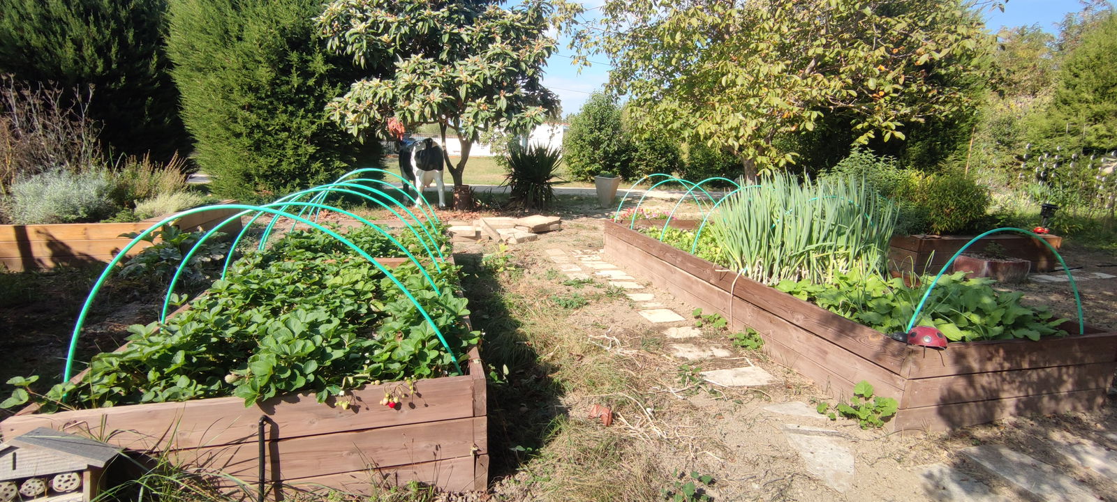 Homestay Orange 340808