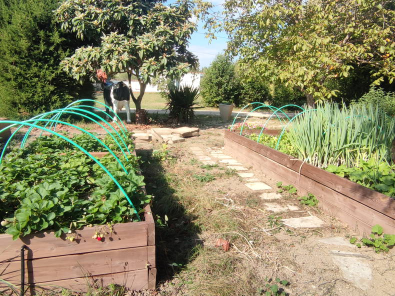 Quedarse En Casa Orange 340808-3