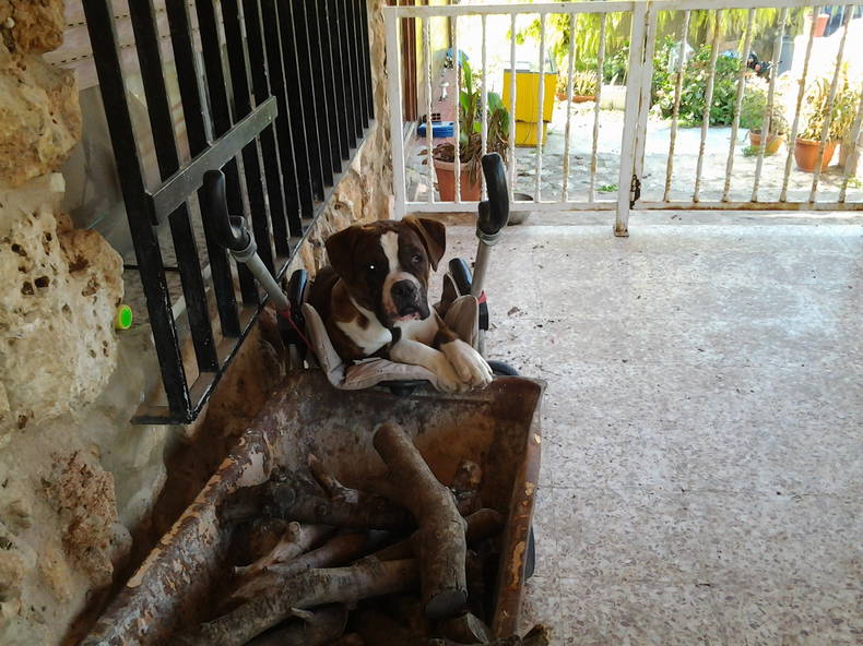 Gästezimmer Valence 94019-3