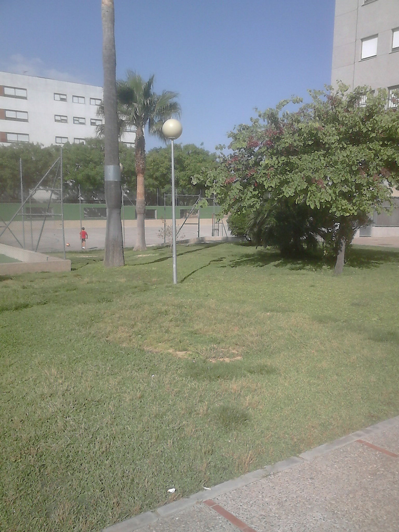 Homestay Jerez de la Frontera 104655